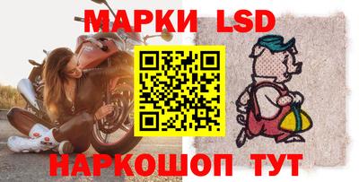 шишки Кимры