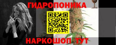 шишки Кимры