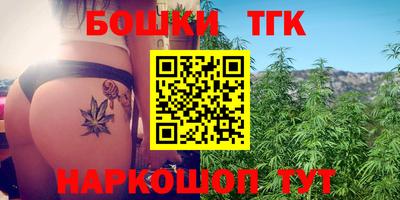 шишки Кимры