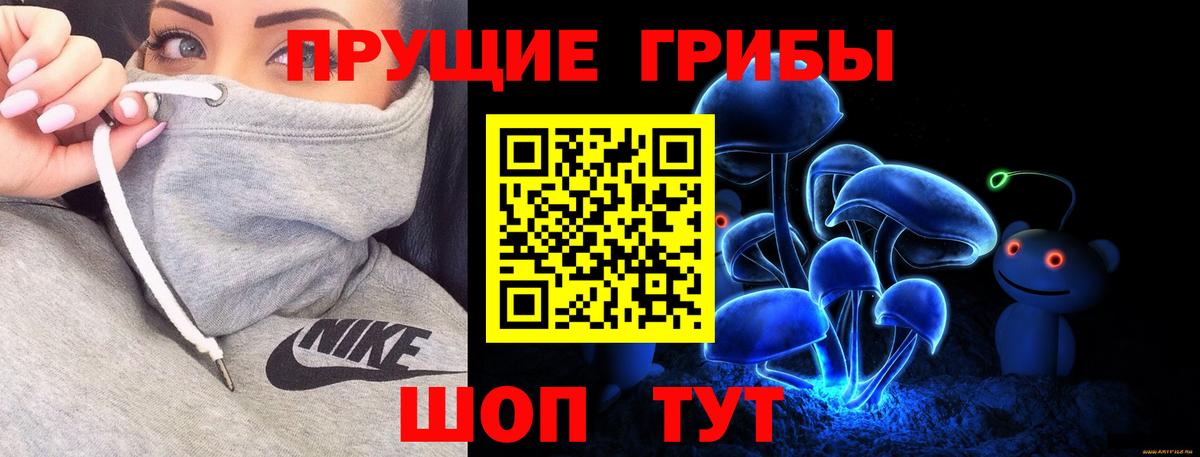 Ковров  Галлюциногенные грибы Magic Shrooms  Вход с VPN  Псилоцибиновые грибы MAGIC MUSHROOMS 